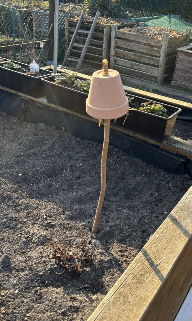 Ob der Ohrenkneifer die Rezeption findet ?